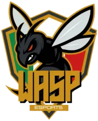 WASP ESPORTS logo